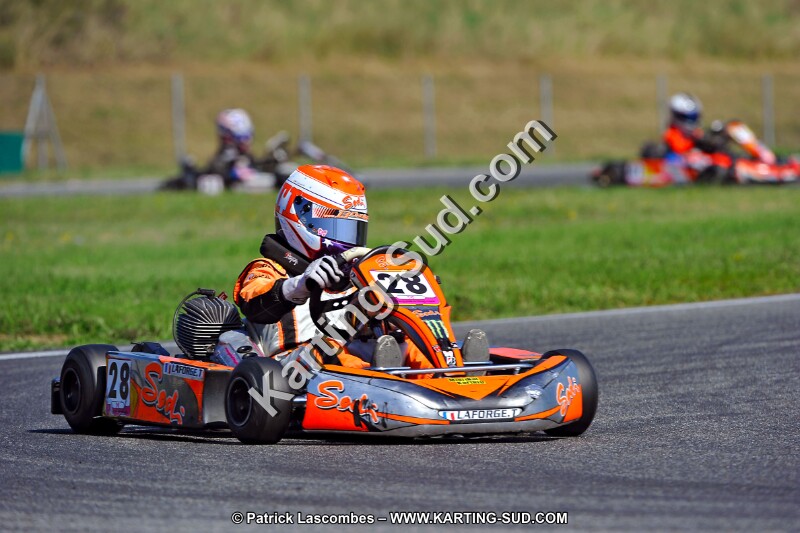 DSC_ (1291).jpg